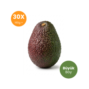30 Adet Büyük Boy Hass Avokado (160g+) – Avantajlı Paket