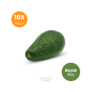 10 Adet 200 g Üzeri Pinkerton Avokado