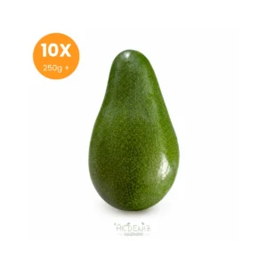 Erkenci Avokado 10 Adet Jumbo boy 250g+