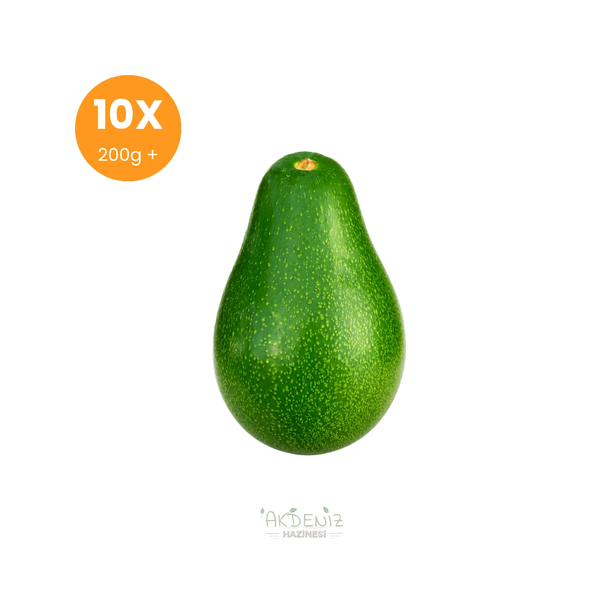 Erkenci Avokado 10 Adet Büyük Boy 200g+