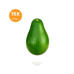 Erkenci Avokado 15 Adet Büyük Boy 200g+