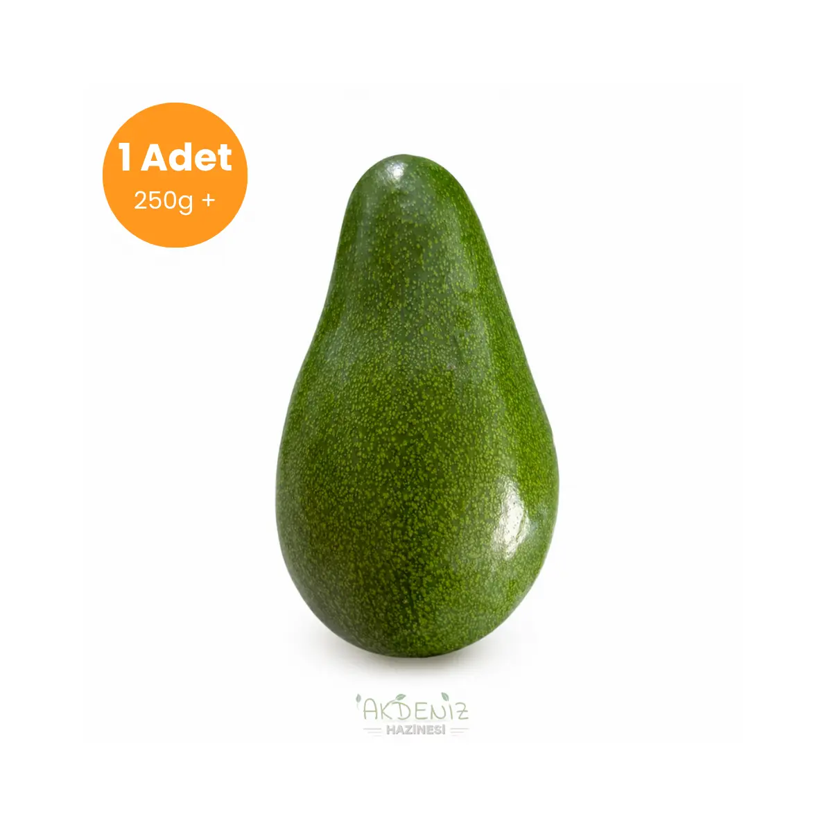 Erkenci Avokado 1 Adet Jumbo Boy 250g+