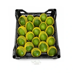 Erkenci Avokado 1 Kg – Yerli
