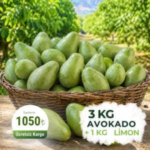Fırsat Paketi - 3 kilo Taze Avokado 1 Kilo Limon
