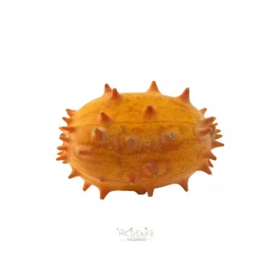 Kiwano (Boynuzlu Kavun) 1 Adet