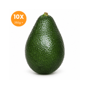 Bacon Avokado Dalından Taze 10 Adet · Jumbo Boy 250 g+
